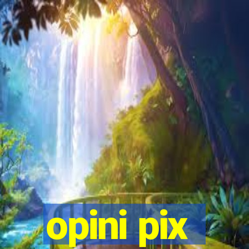 opini pix